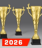 puchary, puchar 6234/1